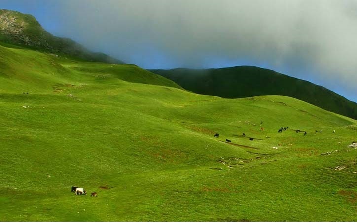 Bedni Bugyal Trek - Highland Trekkers ,Haldwani, Uttarakhand